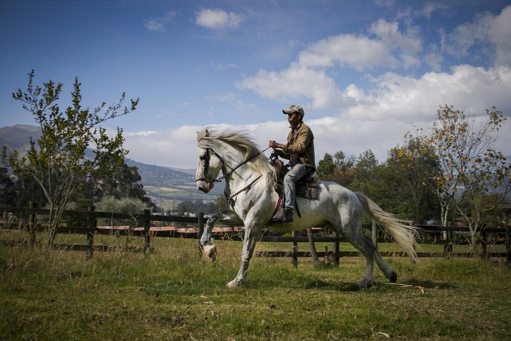 Hacienda Hosteria San Luis Cayambe Luaran gambar