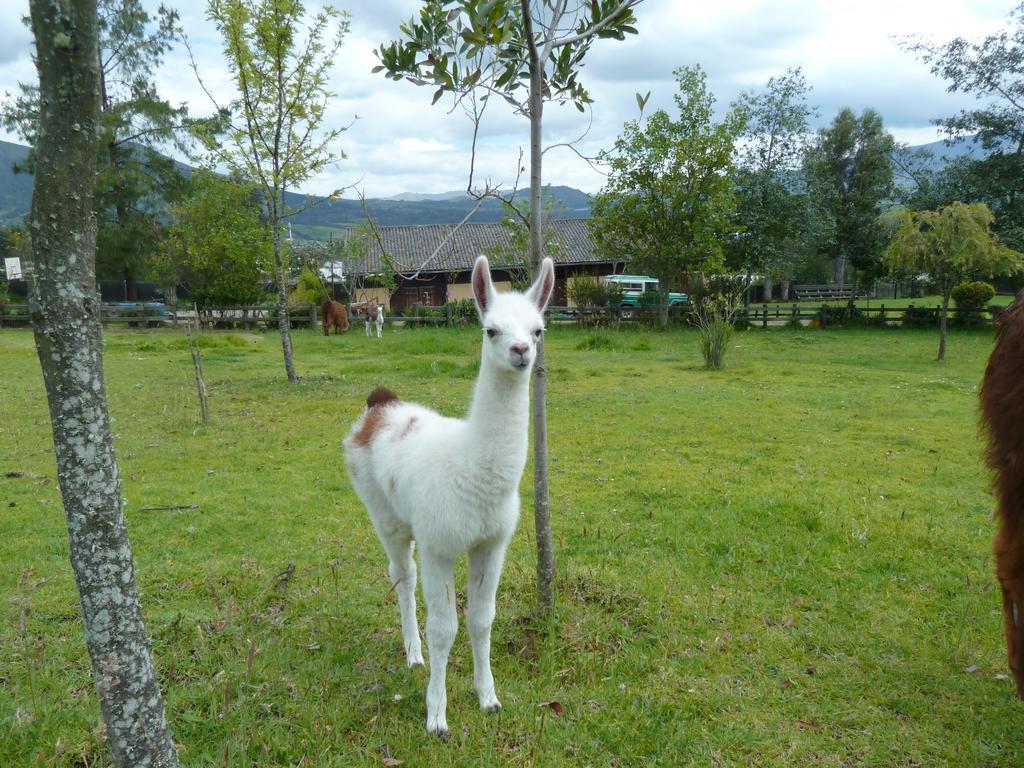 Hacienda Hosteria San Luis Cayambe Luaran gambar