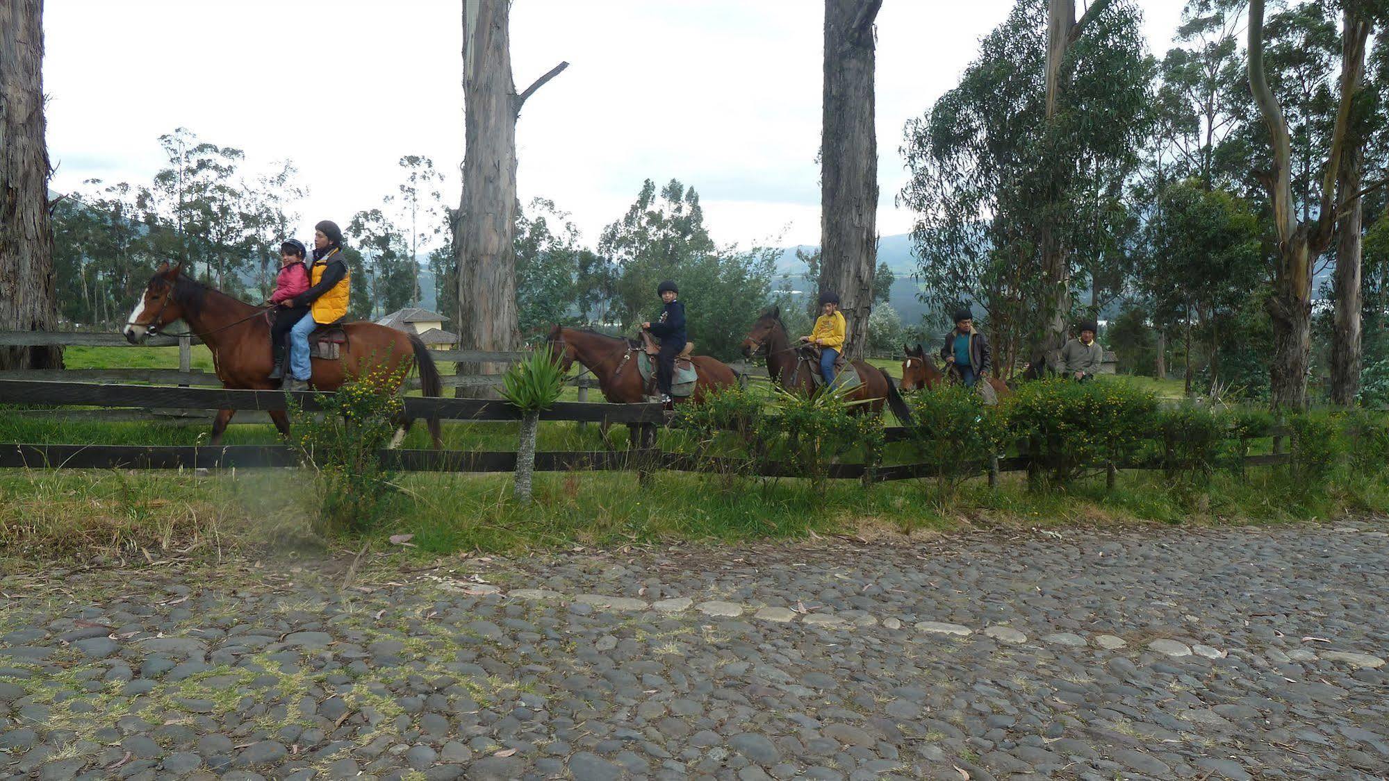 Hacienda Hosteria San Luis Cayambe Luaran gambar